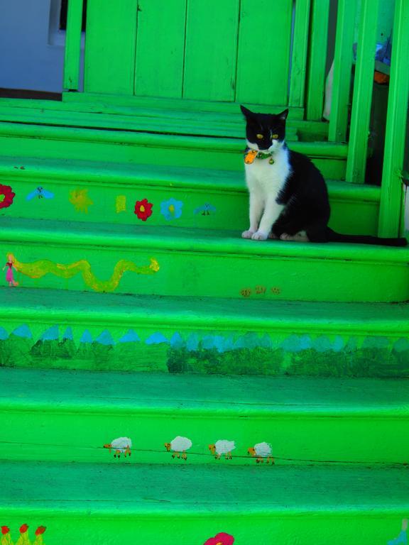 Green Stairs Guest house Tbilisi Buitenkant foto