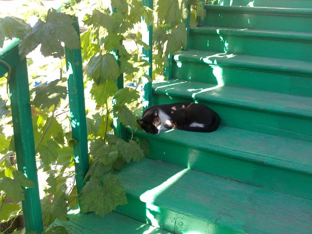 Green Stairs Guest house Tbilisi Buitenkant foto