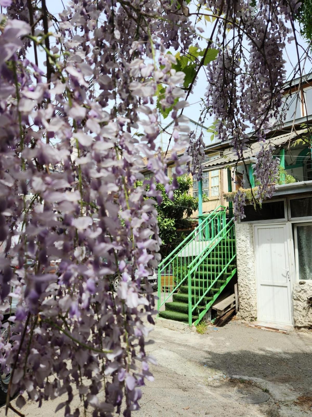 Green Stairs Guest house Tbilisi Buitenkant foto
