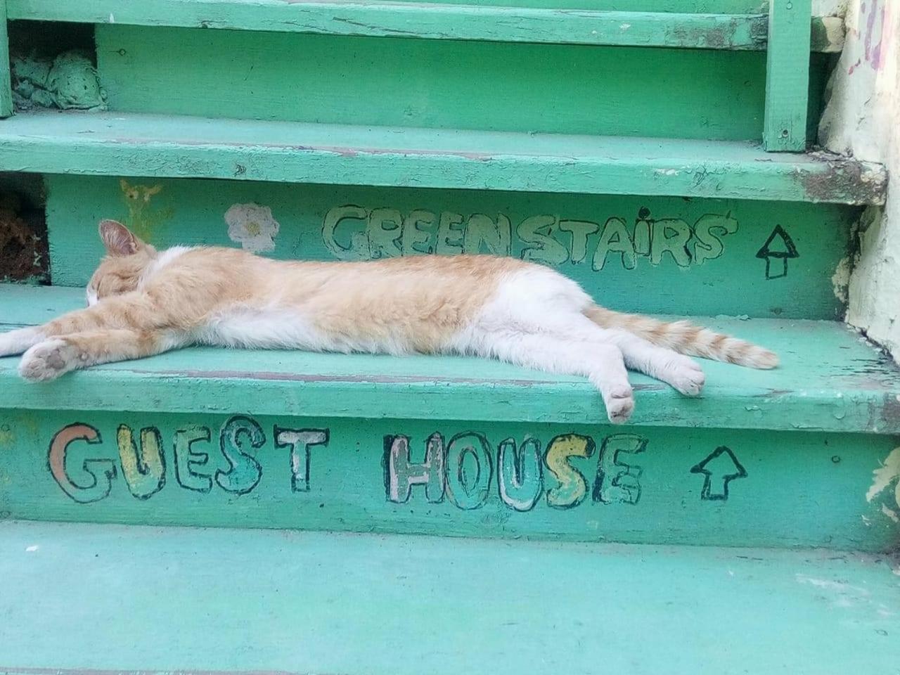Green Stairs Guest house Tbilisi Buitenkant foto